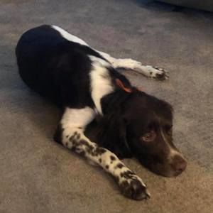 Meet your Posher, Lori